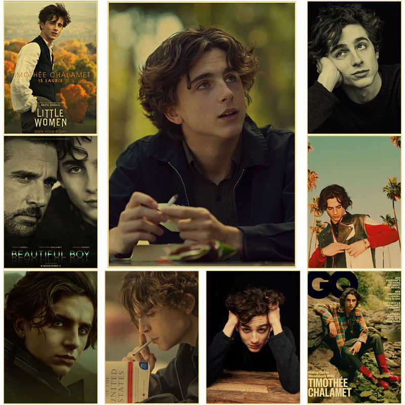 Timothee Chalamet-pintura en l - Home Bar And Theater reseña y precio