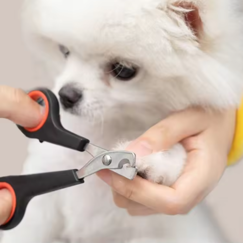 Cortauñas para mascotas, tijer - Home Barber reseña y precio